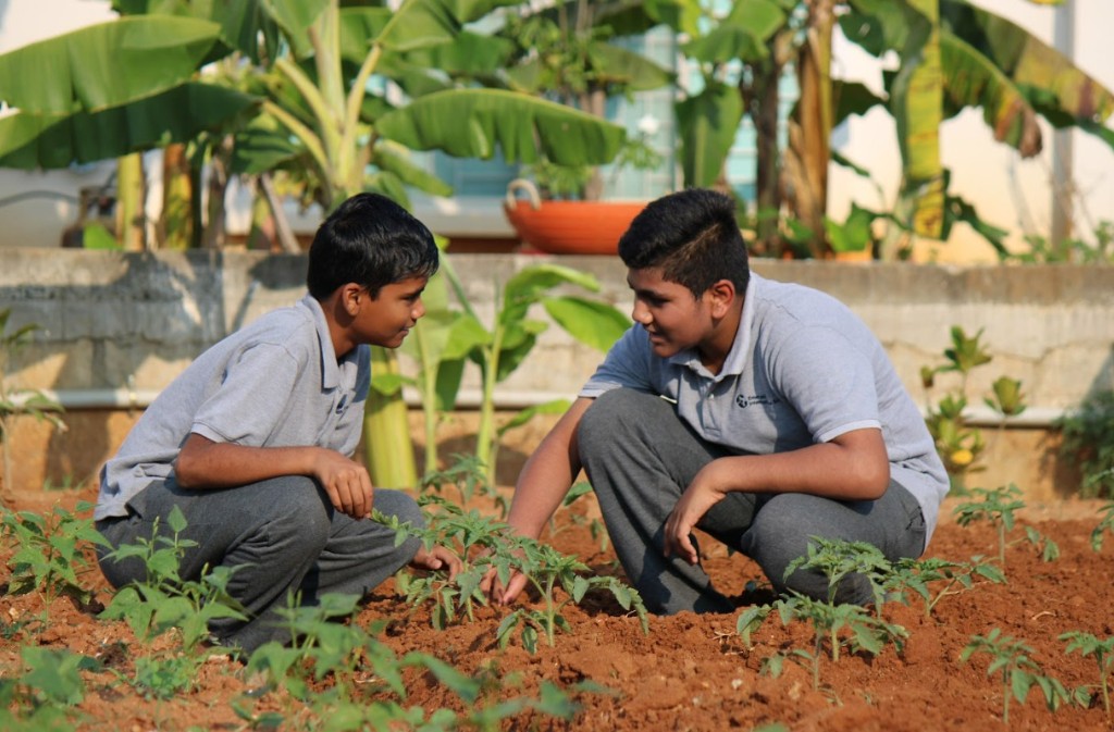 Eco club